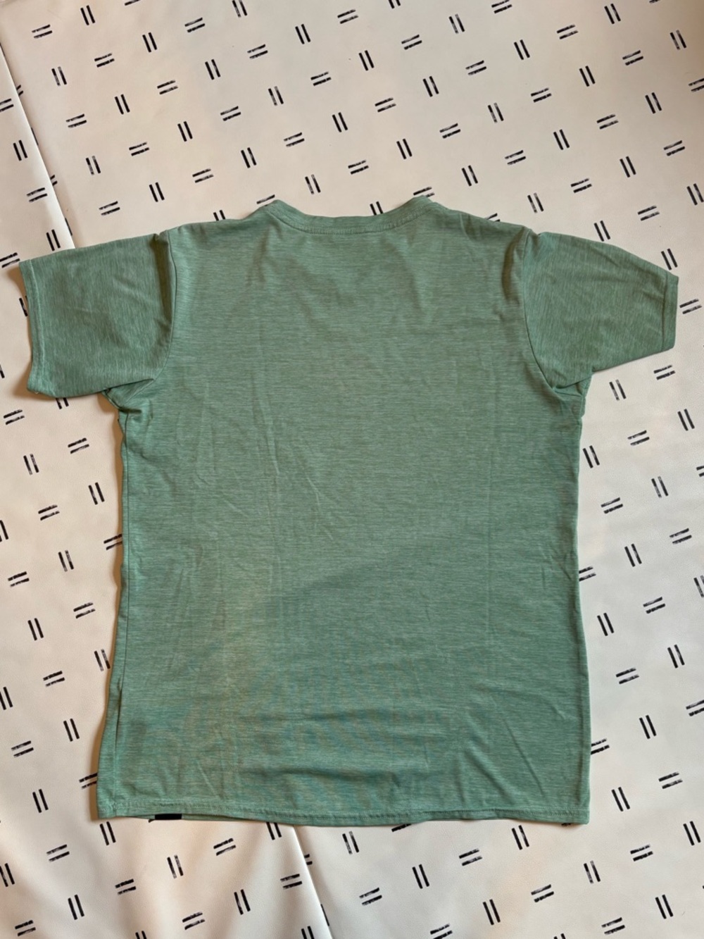 Patagonia Capilene Cool Daily Light Green “Run” Tee, Size Small - Picture 3 of 5